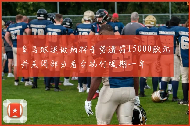 皇马球迷做纳粹手势遭罚15000欧元并关闭部分看台执行缓期一年