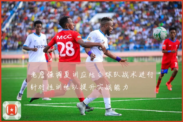 老詹强调夏训应结合球队战术进行针对性训练以提升实战能力