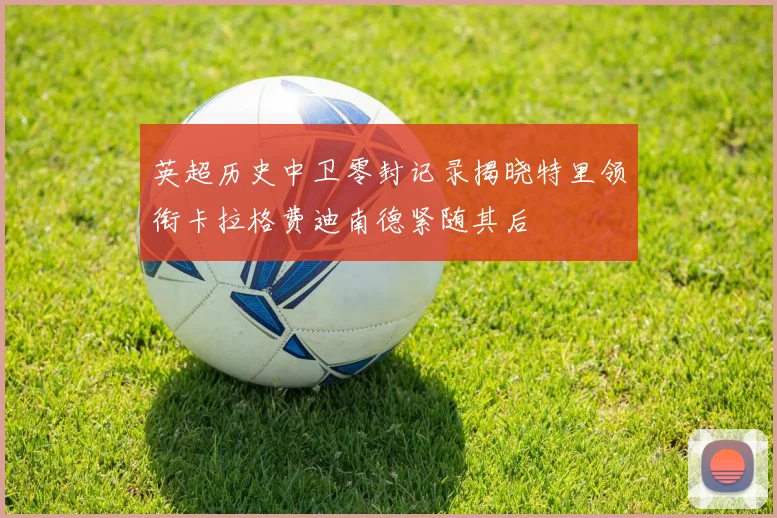 英超历史中卫零封记录揭晓特里领衔卡拉格费迪南德紧随其后